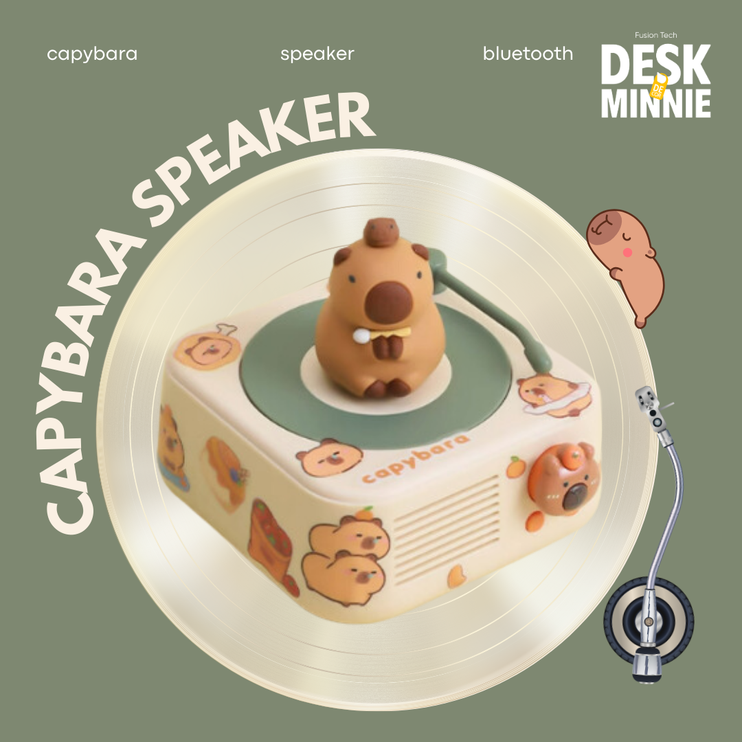 CAPYBARA SPEAKER | CLASSIC RETRO BLUETOOTH SPEAKER | RECHARGEABLE MINIMALIST RECORD PLAYER | MINI DESK